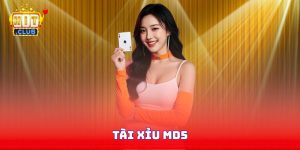 Tài Xỉu MD5 - Ứng Dụng Blockchain Cá Cược Minh Bạch